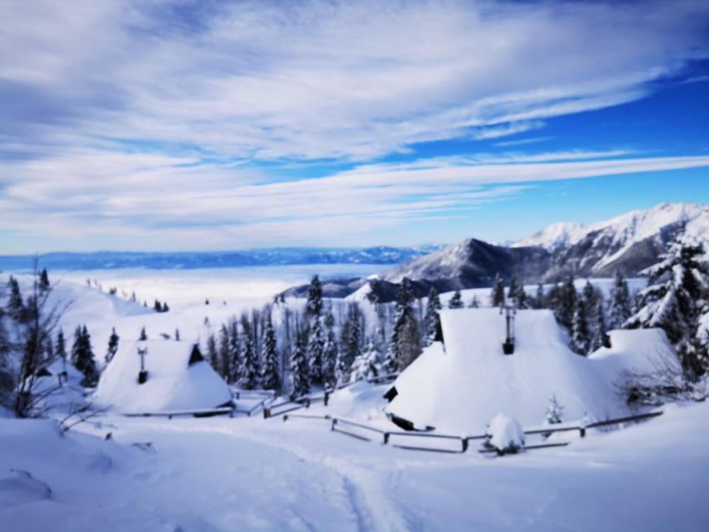 Stahovica Chalet Zlatica Velika Planina מראה חיצוני תמונה