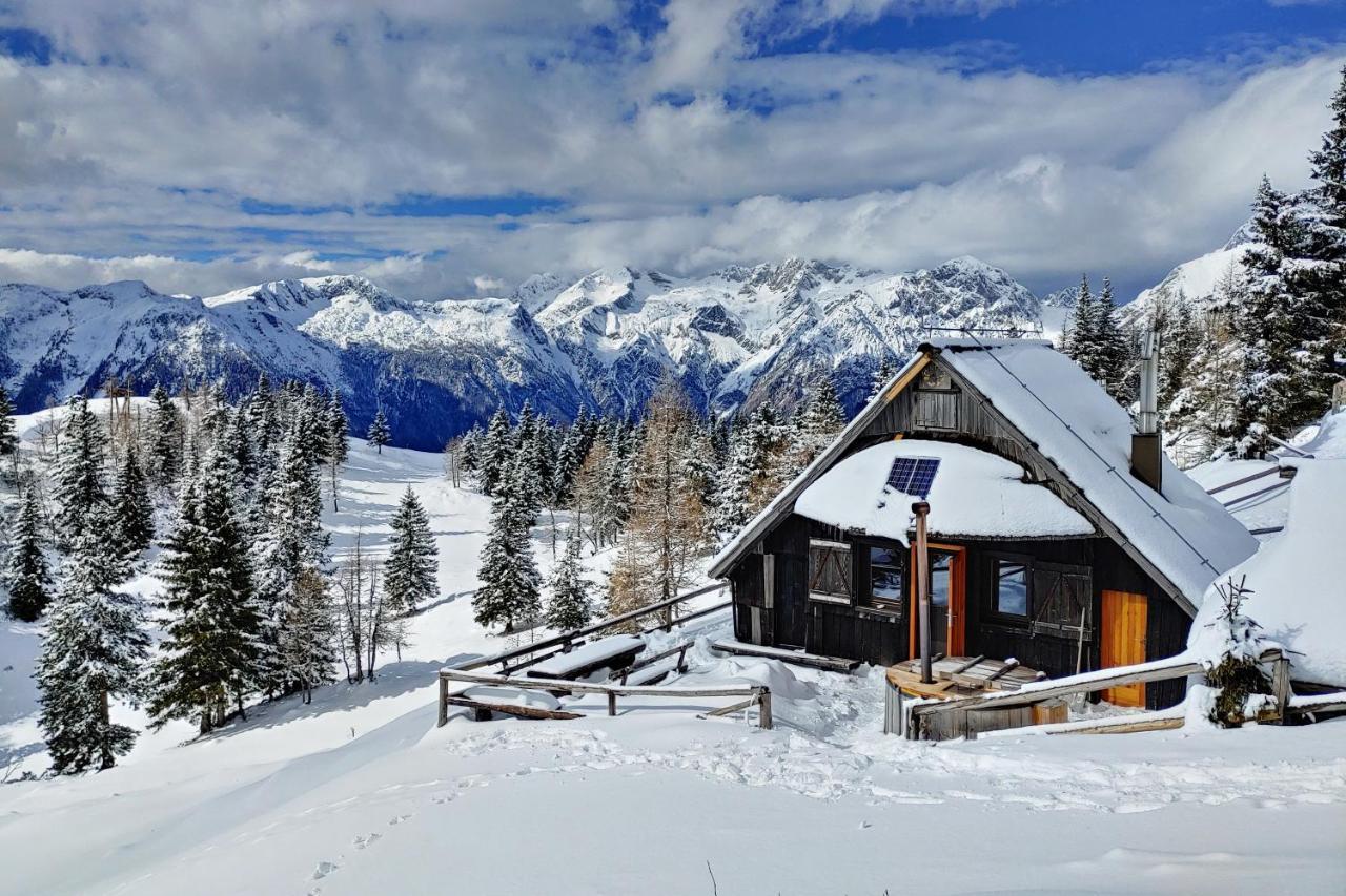 Stahovica Chalet Zlatica Velika Planina מראה חיצוני תמונה
