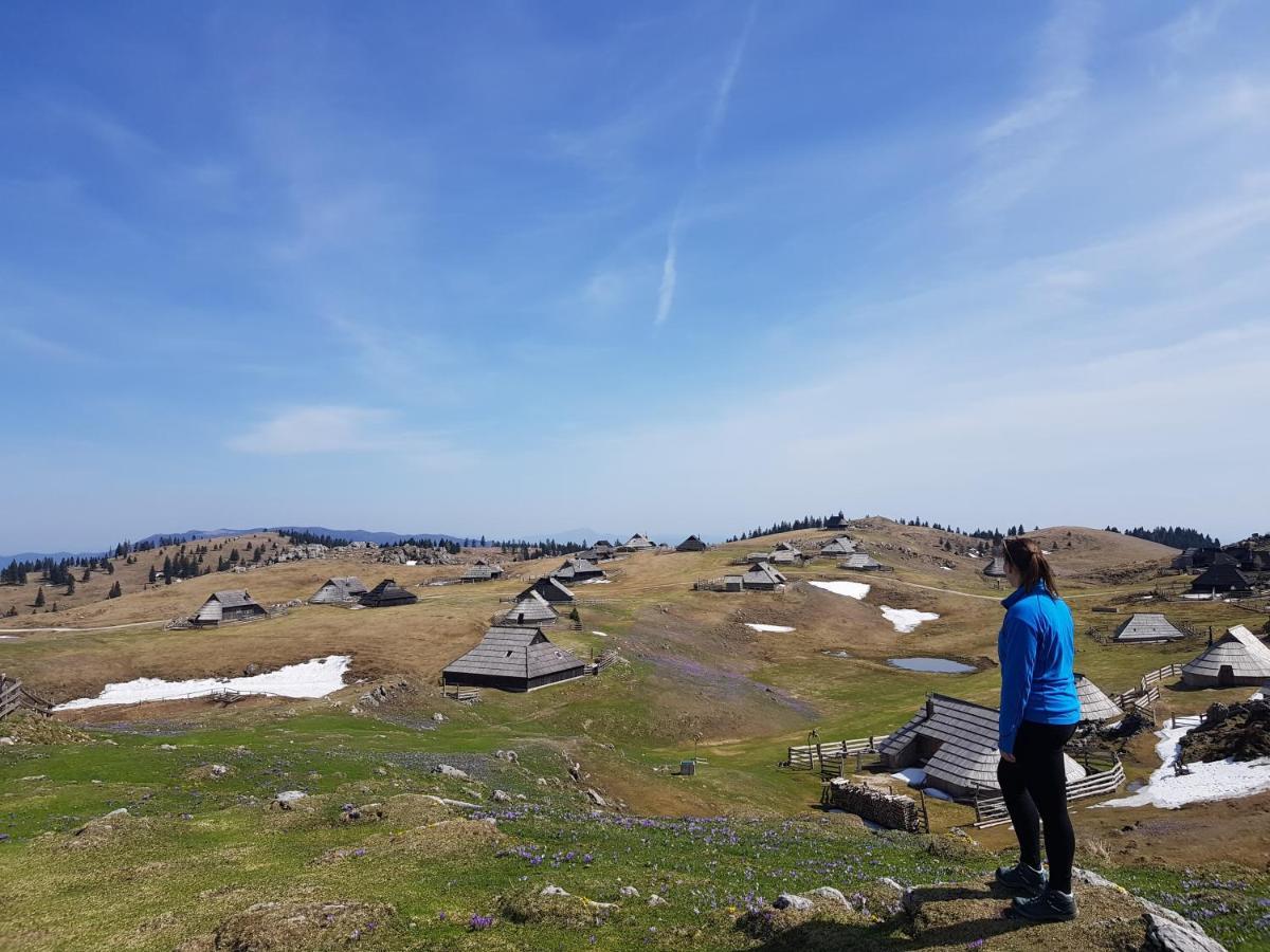 Stahovica Chalet Zlatica Velika Planina מראה חיצוני תמונה