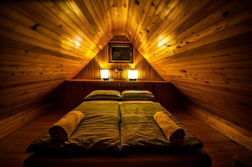 Stahovica Chalet Zlatica Velika Planina מראה חיצוני תמונה