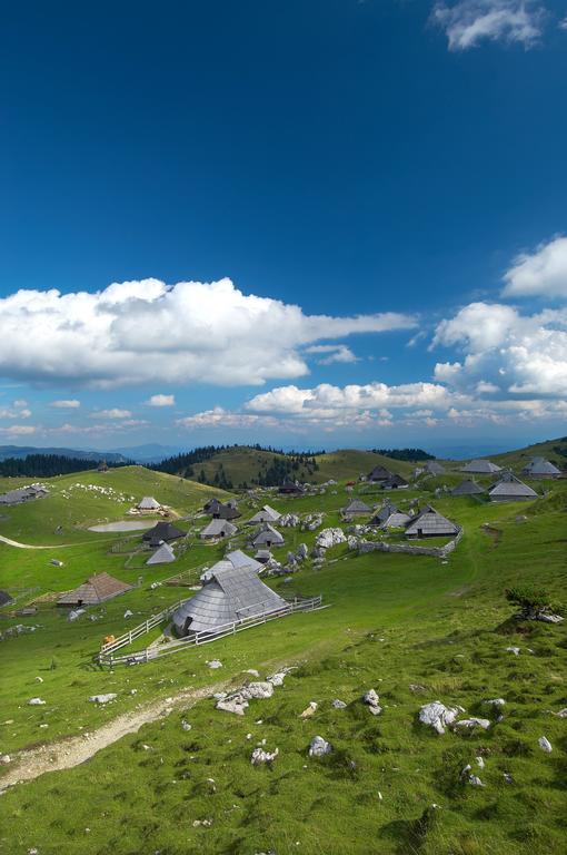 Stahovica Chalet Zlatica Velika Planina מראה חיצוני תמונה