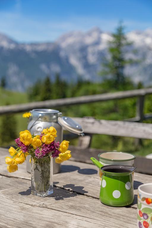Stahovica Chalet Zlatica Velika Planina מראה חיצוני תמונה